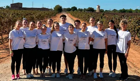 Equipo técnico